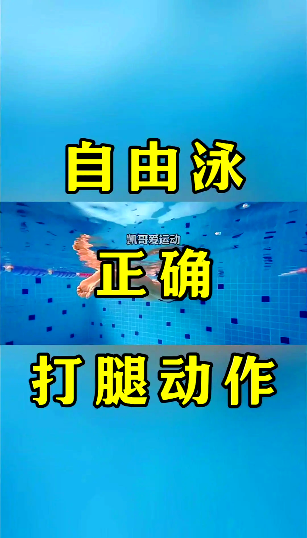 详细阅读:Freestyle kick (freestyle kick video) Freestyle kick (freestyle kick video)